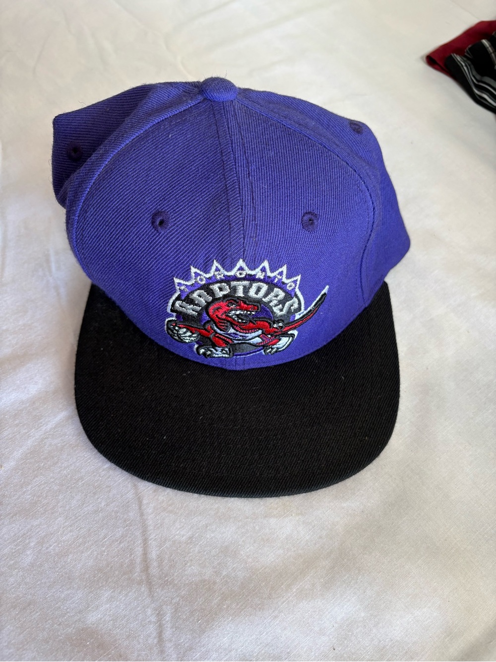 Toronto Raptors Purple and Black Snapback Hat - Embroidered Logo